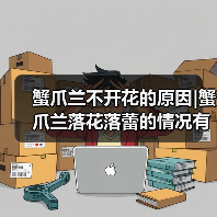 蟹爪兰不开花的原因|蟹爪兰落花落蕾的情况有哪些（图1）