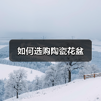 如何选购陶瓷花盆（图3）
