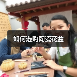 如何选购陶瓷花盆（图1）