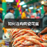 如何选购陶瓷花盆（图2）