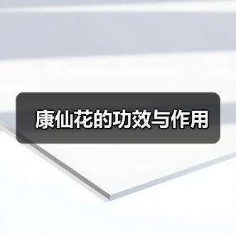 康仙花的功效与作用（图3）