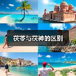 茯苓与茯神的区别（图3）
