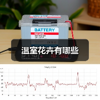 温室花卉有哪些(图1) 温室花卉有哪些(图1)