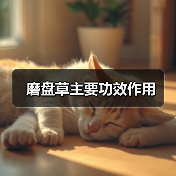 磨盘草主要功效作用（图2）