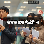磨盘草主要功效作用（图1）