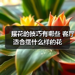 摆花的技巧有哪些 客厅适合摆什么样的花（图3）