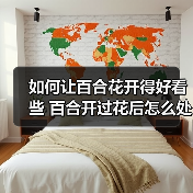 如何让百合花开得好看些 百合开过花后怎么处理（图1）