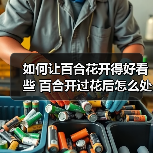 如何让百合花开得好看些 百合开过花后怎么处理（图4）