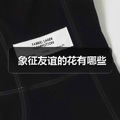 象征友谊的花有哪些（图4）