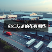象征友谊的花有哪些（图2）