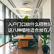入户门口放什么植物好 这八种植物适合放在入户门口（图3）