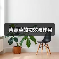 青蒿草的功效与作用（图4）