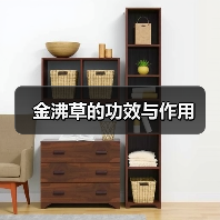 金沸草的功效与作用（图4）