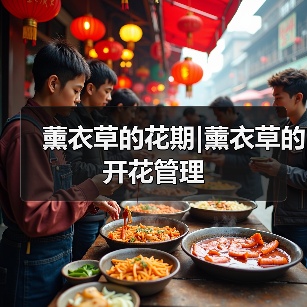 薰衣草的花期|薰衣草的开花管理（图4）