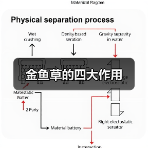 金鱼草的四大作用（图4）