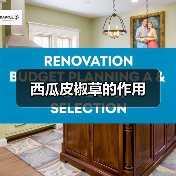 西瓜皮椒草的作用（图1）