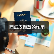 西瓜皮椒草的作用（图3）