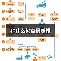 种什么树苗最赚钱（图1）