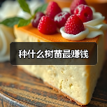 种什么树苗最赚钱（图2）