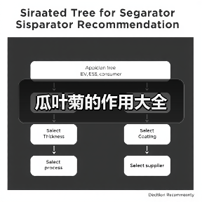 瓜叶菊的作用大全（图2）