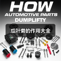 瓜叶菊的作用大全（图1）