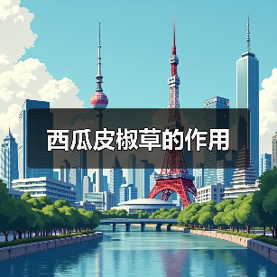 西瓜皮椒草的作用（图2）