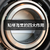 贴梗海棠的四大作用（图3）