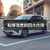 贴梗海棠的四大作用（图1）