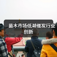 苗木市场低潮催发行业创新（图4）