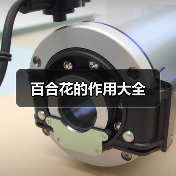 百合花的作用大全（图1）