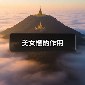 美女樱的作用（图1）
