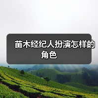 苗木经纪人扮演怎样的角色（图2）