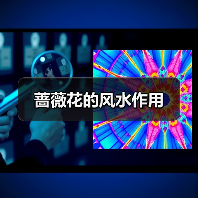 蔷薇花的风水作用（图4）