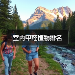 室内甲醛植物排名（图3）