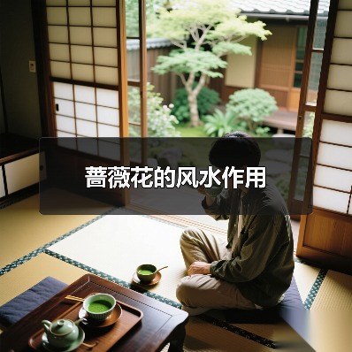 蔷薇花的风水作用（图2）