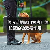 绞股蓝的食用方法？绞股蓝的功效与作用（图3）