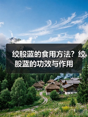绞股蓝的食用方法？绞股蓝的功效与作用（图4）