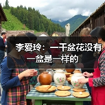 李爱玲：一千盆花没有一盆是一样的（图4）