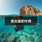 美女樱的作用（图3）