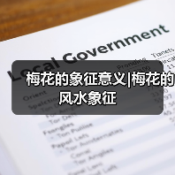 梅花的象征意义|梅花的风水象征（图2）
