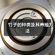 竹子的种类及其养殖方法（图2）