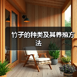 竹子的种类及其养殖方法（图3）