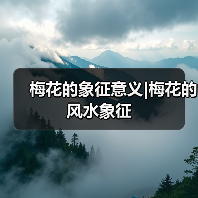 梅花的象征意义|梅花的风水象征（图3）