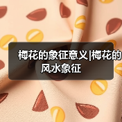 梅花的象征意义|梅花的风水象征（图1）