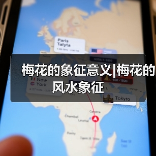 梅花的象征意义|梅花的风水象征（图4）