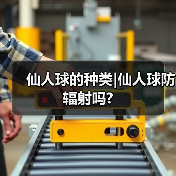 仙人球的种类|仙人球防辐射吗?（图2）