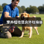 家养植物莫贪外观艳丽（图4）
