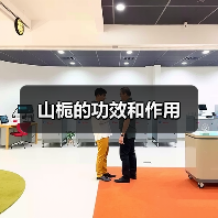 山栀的功效和作用（图3）
