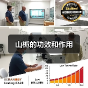 山栀的功效和作用（图4）