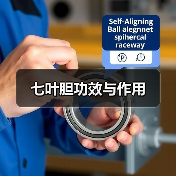七叶胆功效与作用（图1）